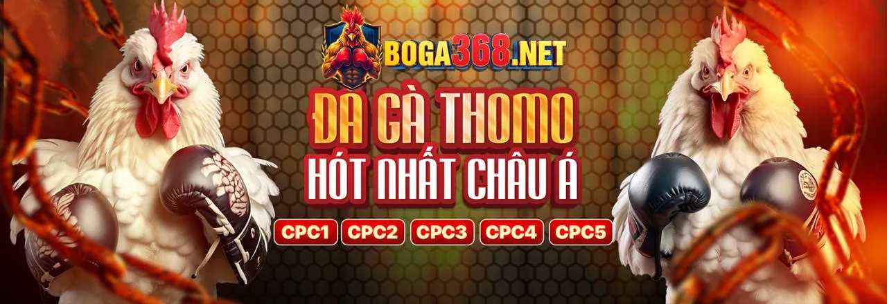 Đá Gà Trực Tuyến KM1888B
